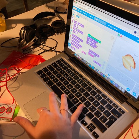 Makey Makey Scratch. Vergrösserte Ansicht