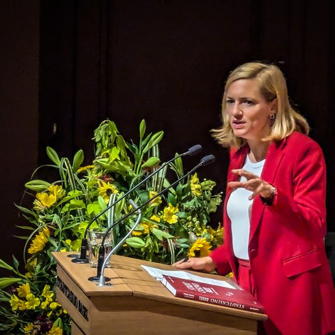 PXL 20240628 083922593. Vergrösserte Ansicht
