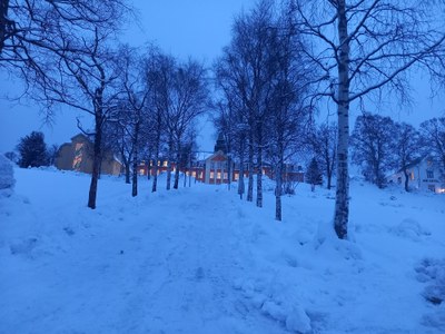 Flight to Tromso (2)