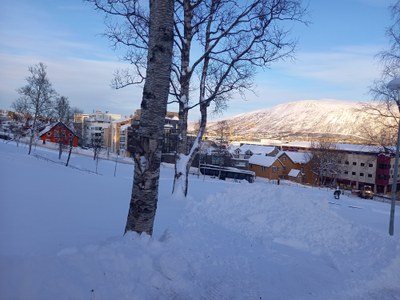 Nice view
