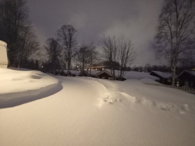 Snowscape