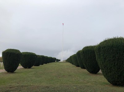 Graves