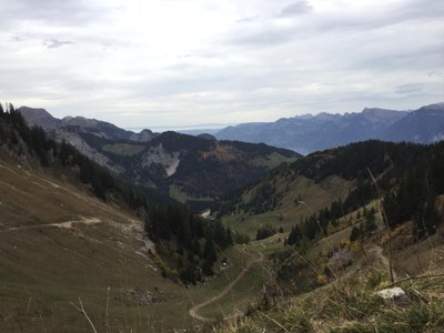 Foto 26.10.19, 17 54 48 (3)