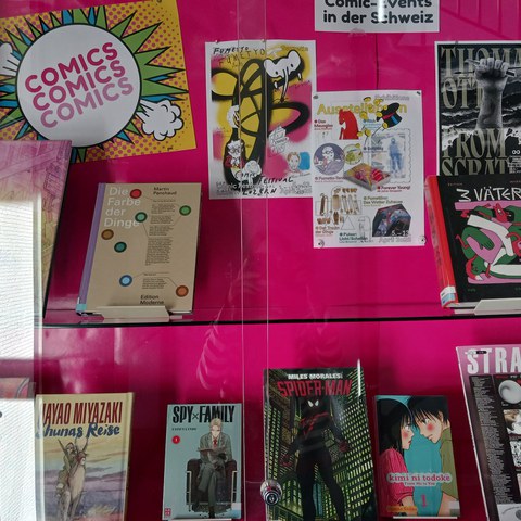2025, Vitrine Nr. 2 | Comics. Vergrösserte Ansicht